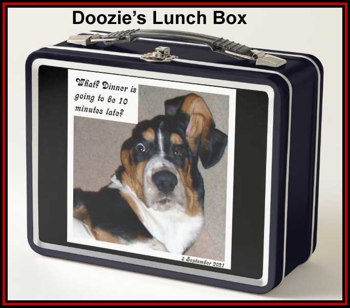 lunch box
